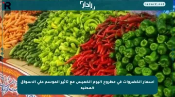 أسعار الخضروات في مطروح اليوم الخميس مع تأثير الموسم على الأسواق المحلية